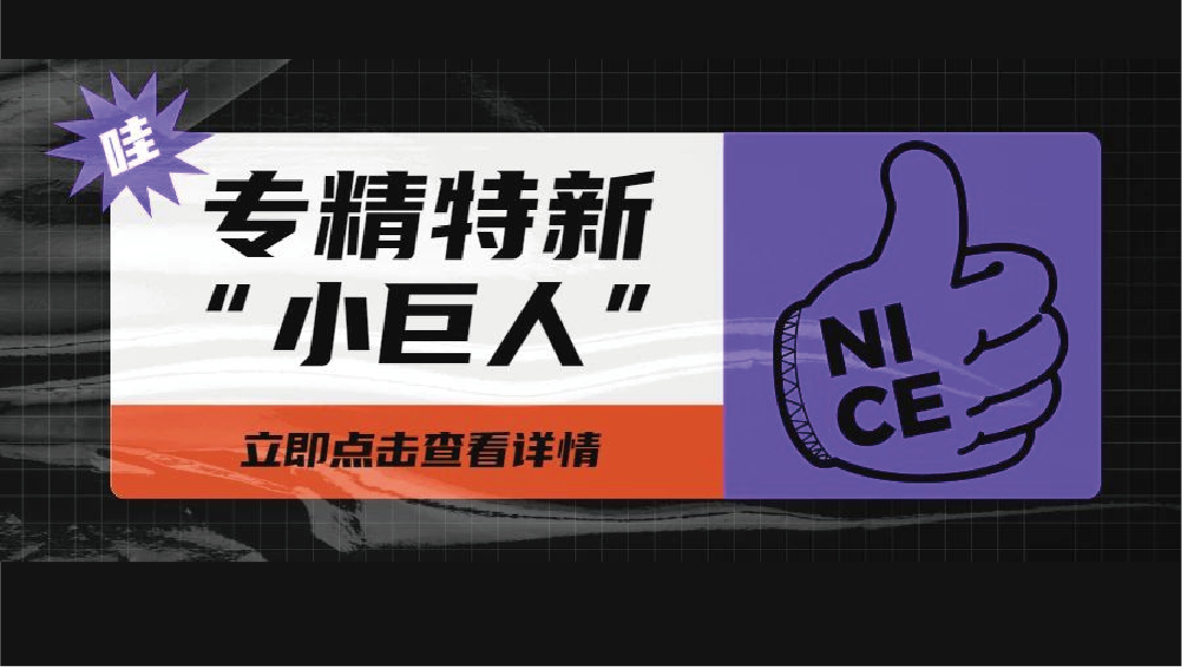 乐泾达软件科技入選國(country)家級專精特新“小巨人(people)”企業